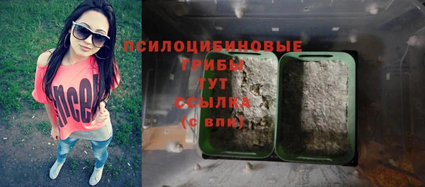 стаф Киреевск