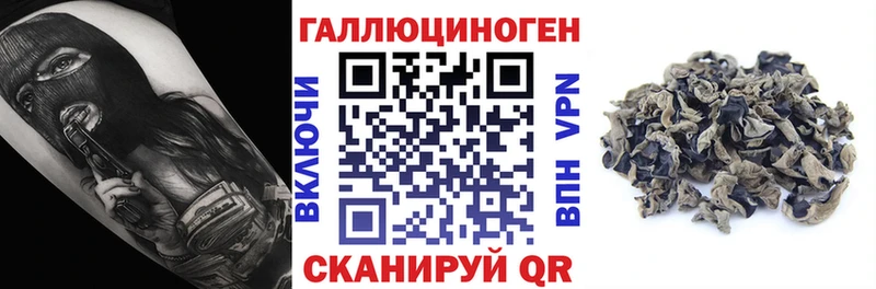 Купить  Хабаровск  Псилоцибиновые грибы ЛСД